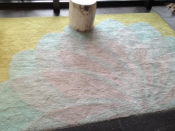 Mat Cleaning